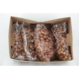 FRUIT RATTAN BUNCH