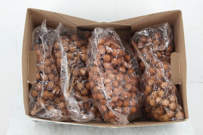 <h4>FRUIT RATTAN BUNCH</h4>