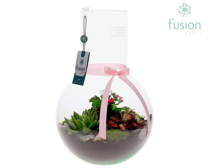 <h4>Green Bottle Suzanne Large met Moederdag arrangement</h4>