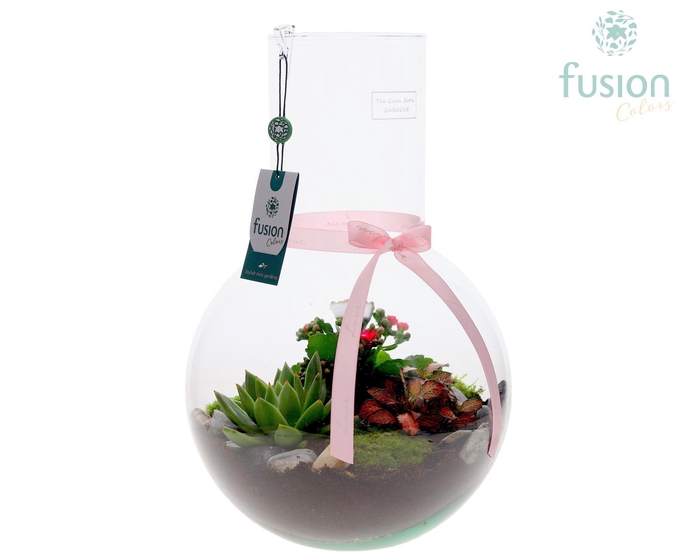 <h4>Green Bottle Suzanne Large met Moederdag arrangement</h4>