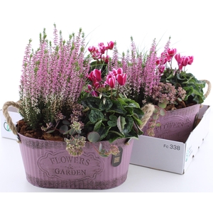 ARR TUINPLANTEN