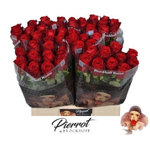 R GR RED NAOMI! Pierrot 55cm