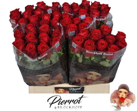 <h4>R GR RED NAOMI! Pierrot 55cm</h4>