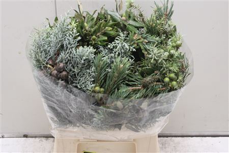 <h4>Bouquet Conifeer Mix</h4>
