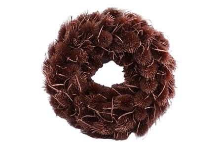 <h4>Wreath Dipsacus H13D40</h4>