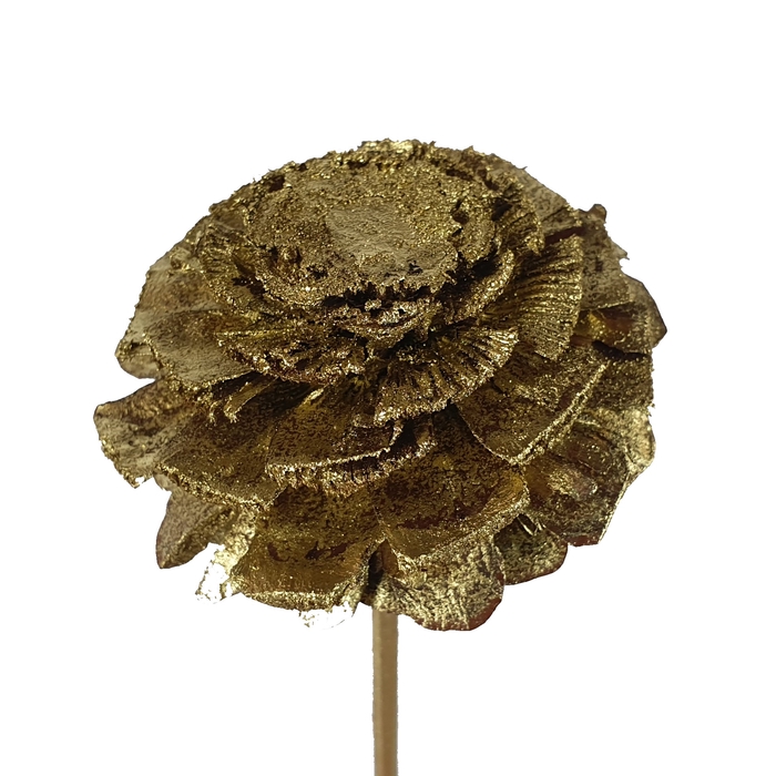 Pine cone cut 5-7cm on stem Gold