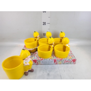 Pot   ...Keramiek H%