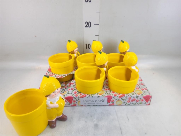 <h4>Pot   ...Keramiek H%</h4>