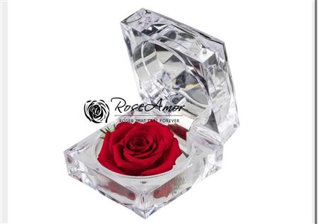 <h4>Giftbox Jewel Red02</h4>