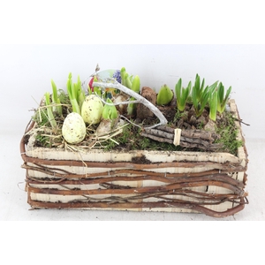 arr4 Bollenmix VL - Takken rechthoek