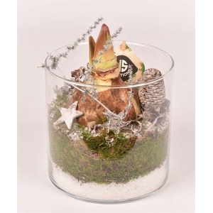 Glas cilinder 15cm/H 15cm