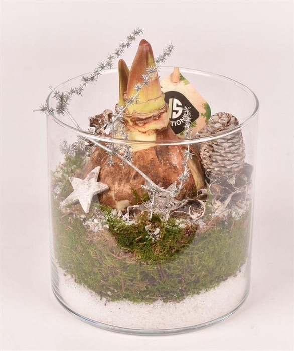 <h4>Glas cilinder 15cm/H 15cm</h4>