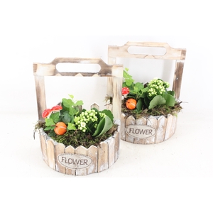 arr2 TD - Hout planter half rond - wit