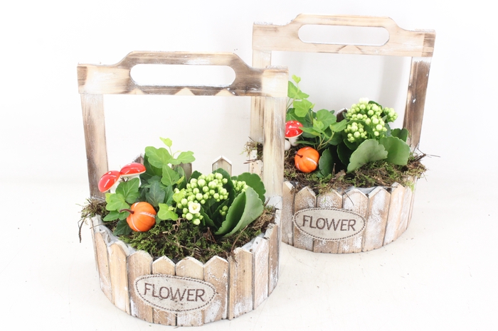 <h4>arr2 TD - Hout planter half rond - wit</h4>