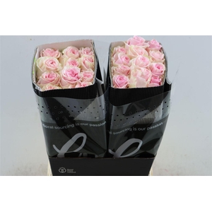 R Gr Duchesse