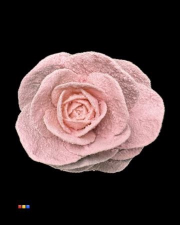 Brassica Powder Pink