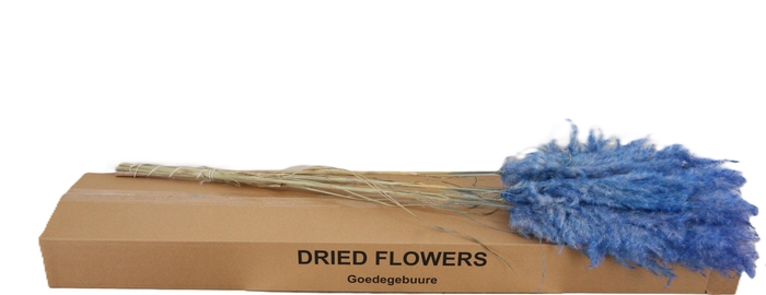 <h4>DROOGBL BEWERKT H%</h4>