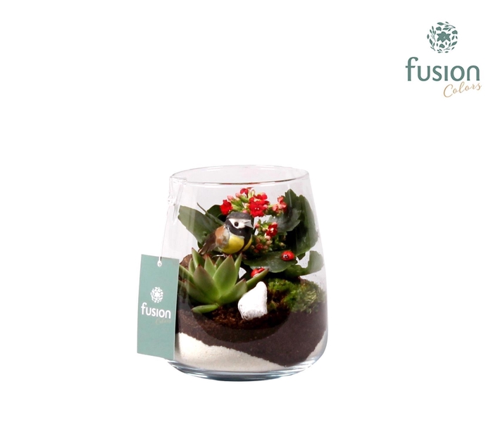 <h4>Glas Alzada met Arrangement</h4>