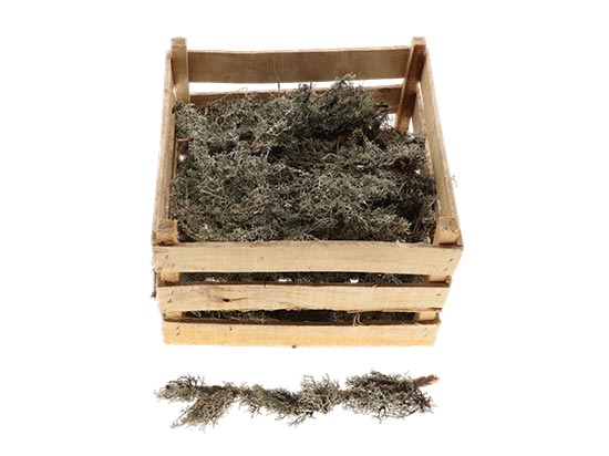 Crate Larix Extra L50W30H2