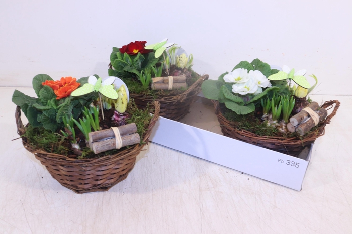 <h4>ARR TUINPLANTEN</h4>