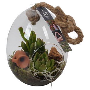 PTGIG2102 Arrangement Greens in glass in glazen ei