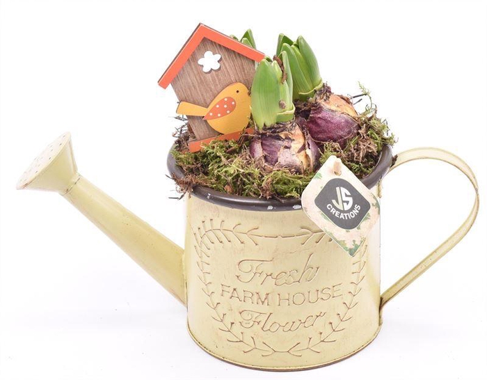 <h4>Zink gieter 14cm</h4>