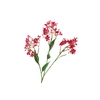 Flower Branch Pink Dark