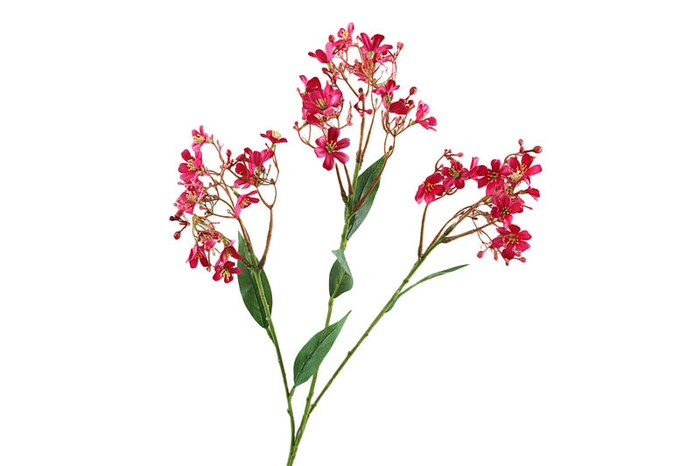 <h4>Flower Branch Pink Dark</h4>