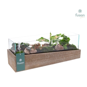 Aquarium Medium met Trendy groene planten