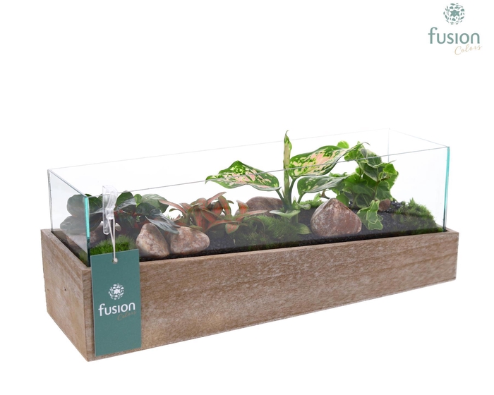 <h4>Aquarium Medium met Trendy groene planten</h4>