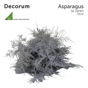 Asp 1e Veren Silver 45cm Box X50