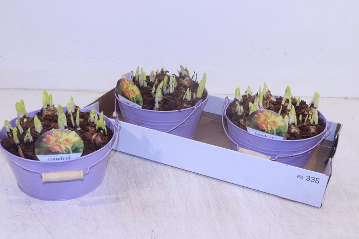 <h4>ARR N TETE A TETE</h4>