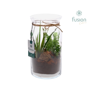 Glas Melkbus met arrangement