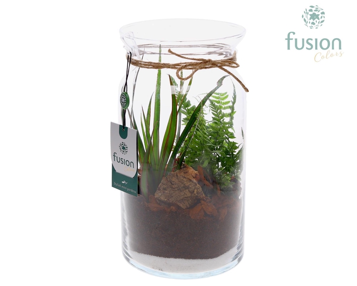 <h4>Glas Melkbus met arrangement</h4>