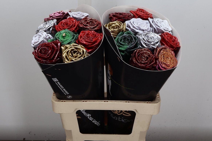 <h4>R Wx (rn) Mix Kerstmix</h4>