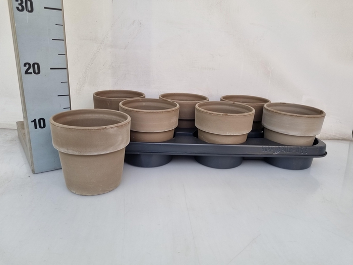 <h4>HUIS EN TUINDECO H%</h4>