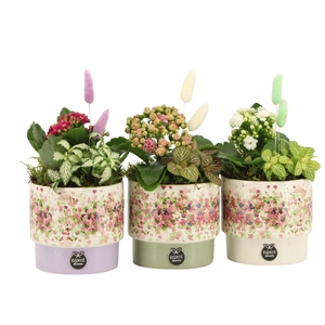 11632: Consideration arrangement