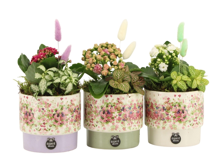 <h4>11632: Consideration arrangement</h4>