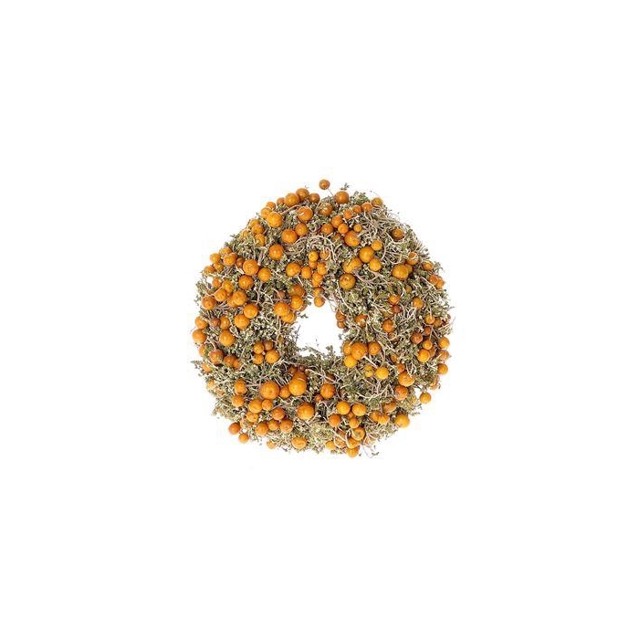 <h4>Wreath Solanum D23</h4>