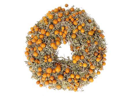 Wreath Solanum D23