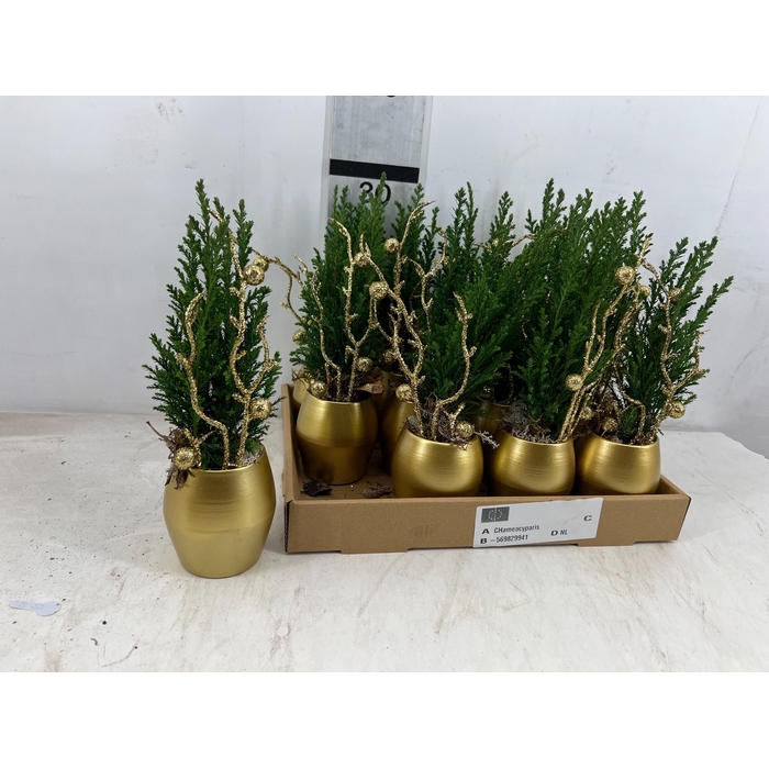 <h4>Deco Christmas Arrangement 8Ø 25cm</h4>