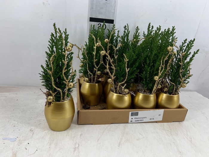 Deco Christmas Arrangement 8Ø 25cm