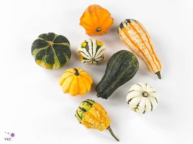 CUCURBITA MAYA MIX