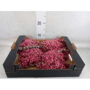 Decoratieve materialen   ...H%