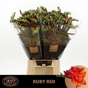 FR DU RUBY RED