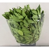 LAURUS NOBILIS 400GR