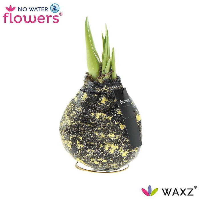 <h4>No Water Flowers Waxz® Galaxy Black(Decorum)</h4>