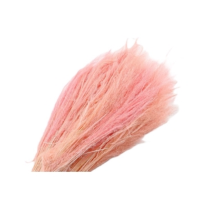 Agrostis Pink