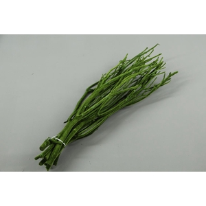 Mitsumata Flock D.Green Bs(10)