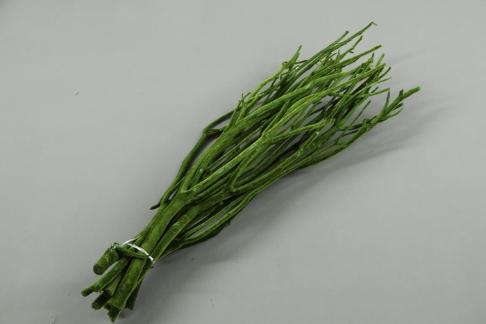 <h4>Mitsumata Flock D.Green Bs(10)</h4>